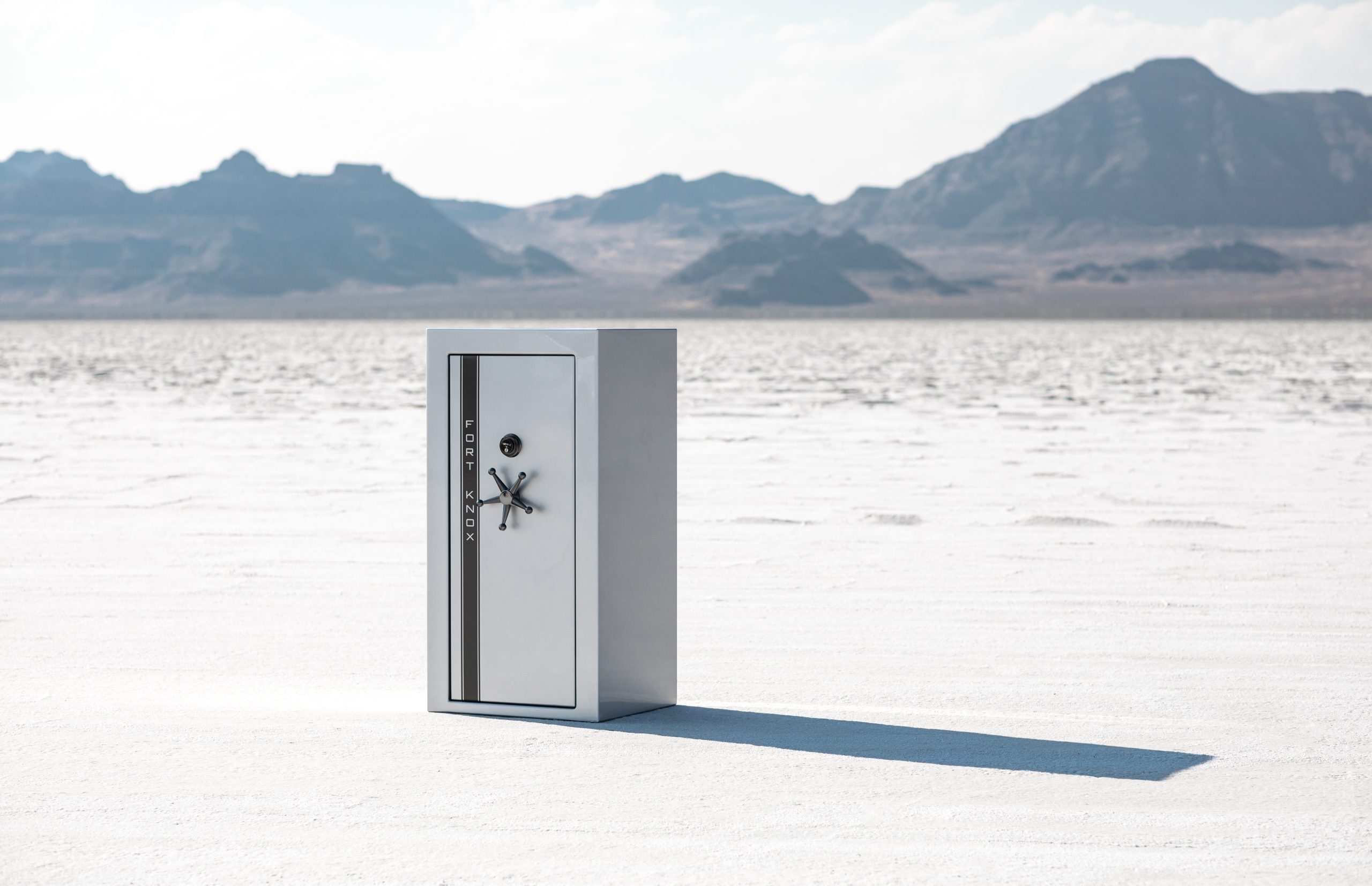 A Brief History of the Gun Safe